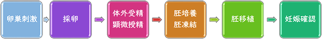 体外受精は、以下の5つのステップ